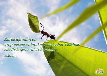 Risale-i Nur'dan vecizeli duvar kağıdı - [indir]