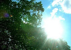 29 Şubat Hava Durumu