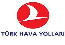 THY'nin web sitesi hacklendi