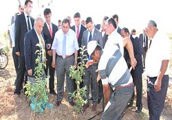 Yozgat meyvecilik merkezi olacak