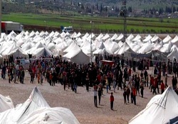 270 Suriyeli, Türkiye'ye giriş yaptı