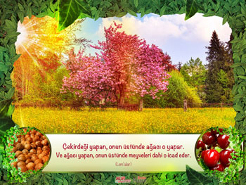 Risale-i Nur'dan vecizeli duvar kağıdı - [indir]