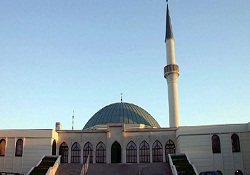 Avusturya İslam'ı kabulünün 100. yılını kutluyor