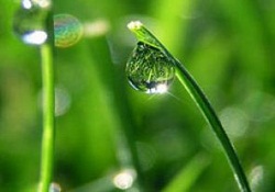 Güneş enerjisiyle tarla sulayacaklar