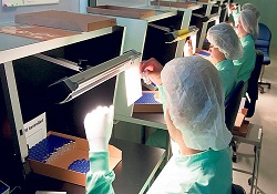 'Göz ilaçları geliştirmek için yılda 200 milyon dolar harcıyoruz'