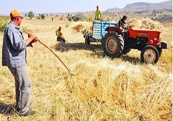 Çiftçi borcuna sadık