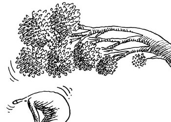 Mevcudatın ibadetini kim göremez-Karikatür
