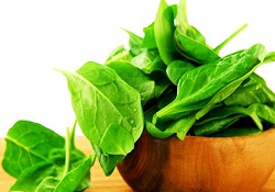 Ispanak yiyen çocuklar daha dayanıklı