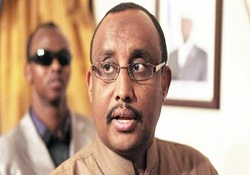 Somali'de Türk modeli dediğimiz bir şey var