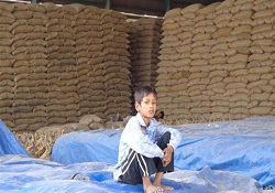 Yoksullara para yardımı