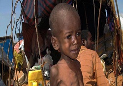 Somali'de kolera endişesi