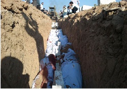 Hama'da yine katliam: Ölü sayısı 250'yi aştı