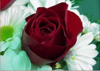 Her ölenin ameline son verilir o kişi müstesna