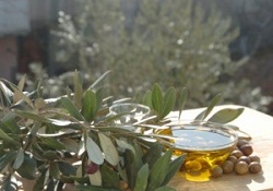 Zeytinyağında tüketim 2 kiloya yaklaşıyor