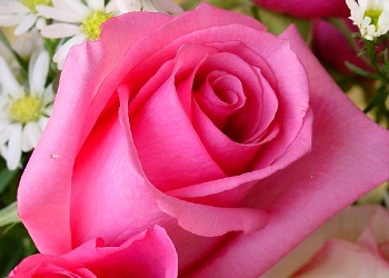 Yalnızlıktaki mahzuru benim kadar bilseydiniz