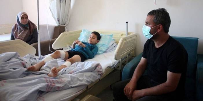 Sokak köpeklerinin saldırısına uğrayan çocuk yaralandı, baba isyan etti