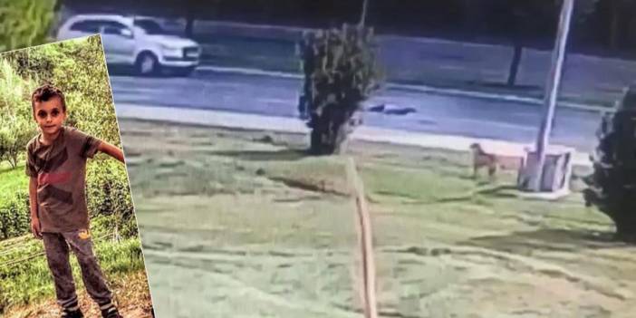 Daha kaç kişi ölecek: Köpeklerden kaçan 10 yaşındaki çocuğa araba çarptı