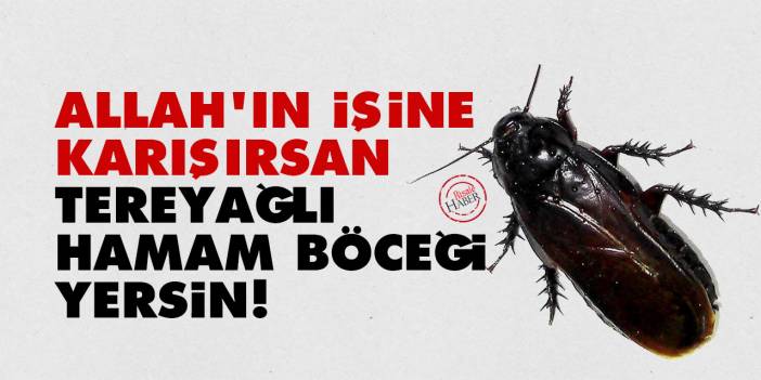 Allah'ın işine karışırsan tereyağlı hamam böceği yersin