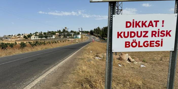 Şanlıurfa'da kuduz olduğu anlaşılan köpek 3 kişiye saldırdı, karantina başladı