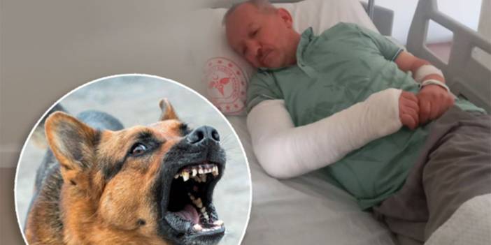 Köpek terörü bayram mesaisinde: Daha kaç kişinin canının yanması gerekiyor?