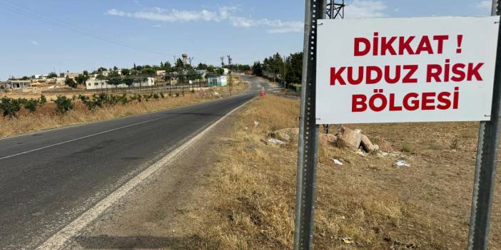 Bir mahallede daha kuduz karantinası: Aman köpekler rahatsız olmasın!