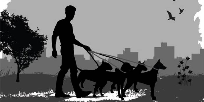 İngiltere'nin köpek sahiplerine verdiği ciddi cezalar