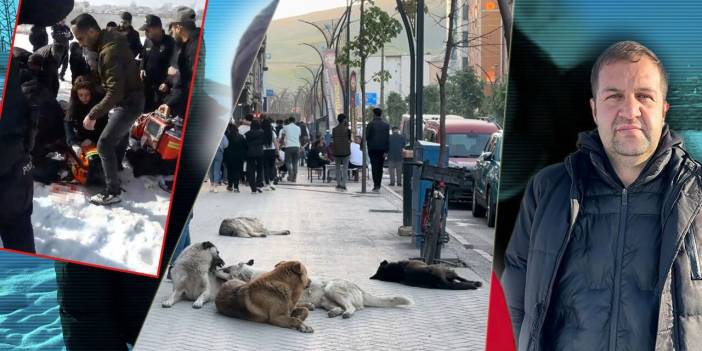 Köpeklerin öldürdüğü Eslem'in babası isyan etti: Şikayet etmiştik, yetkililer kulaklarını tıkadı!