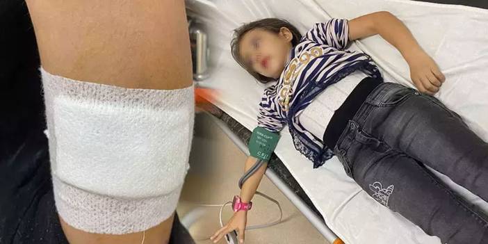 Müdür yardımcısı kafayı mı yemiş? Okul bahçesinde beslediği köpekler öğrenciye saldırdı