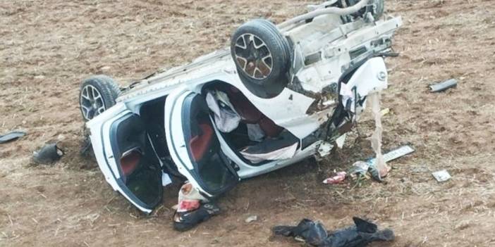 Siirt'te son 40 günde köpekler yüzünden 2 kişi öldü