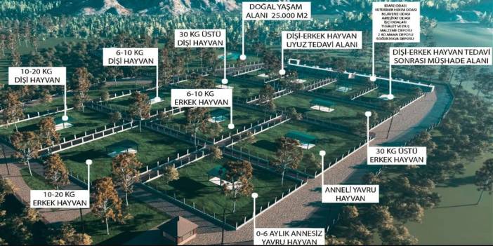 Devletin parası çarçur ediliyor: Giresun'da köpekler için 15 milyon lira harcanacak