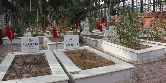 'Said Nursi'nin mezarı Urfa'da, yeri de belli' iddiası!