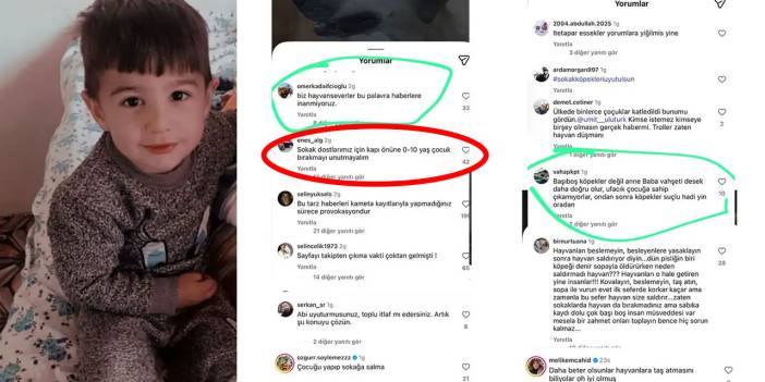 Köpekperestler daha vahşi: Sokak dostlarımız için kapı önüne 0-10 yaş çocuk bırakmayı unutmayalım!