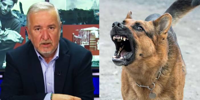 Köpek teröründe sessiz yığınların öfkesi patlama noktasına geldi!