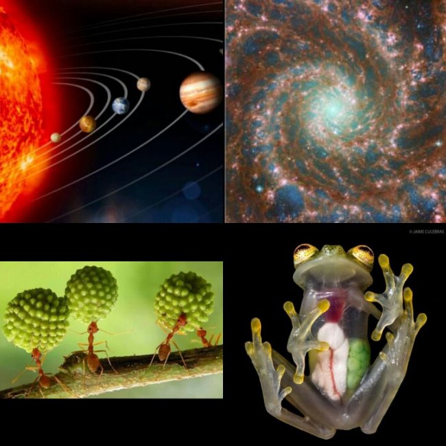 2023011320331763287f5421ddfa04.jpg