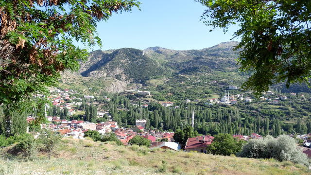 orman.jpg