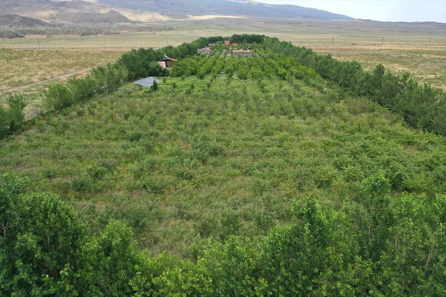 agri-dagi-nin-yakinlarindaki-corak-araziye-ku-4-20108326-o.jpg