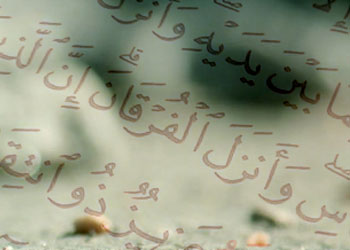 Hafız Mustafa Efe'den kısa sureler...