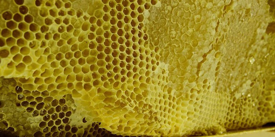 Ramazan'da Bediüzzaman'ı güldüren bal hadisesinin kahramanı konuşuyor