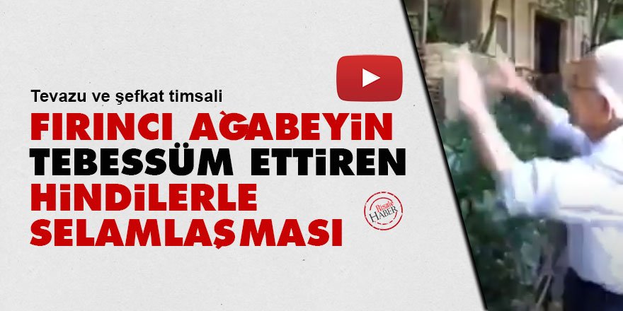 Fırıncı ağabeyin tebessüm ettiren, hindilerle selamlaşması